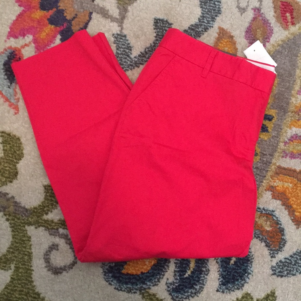 💗 J. Crew Crop Pants- Dark Pink
